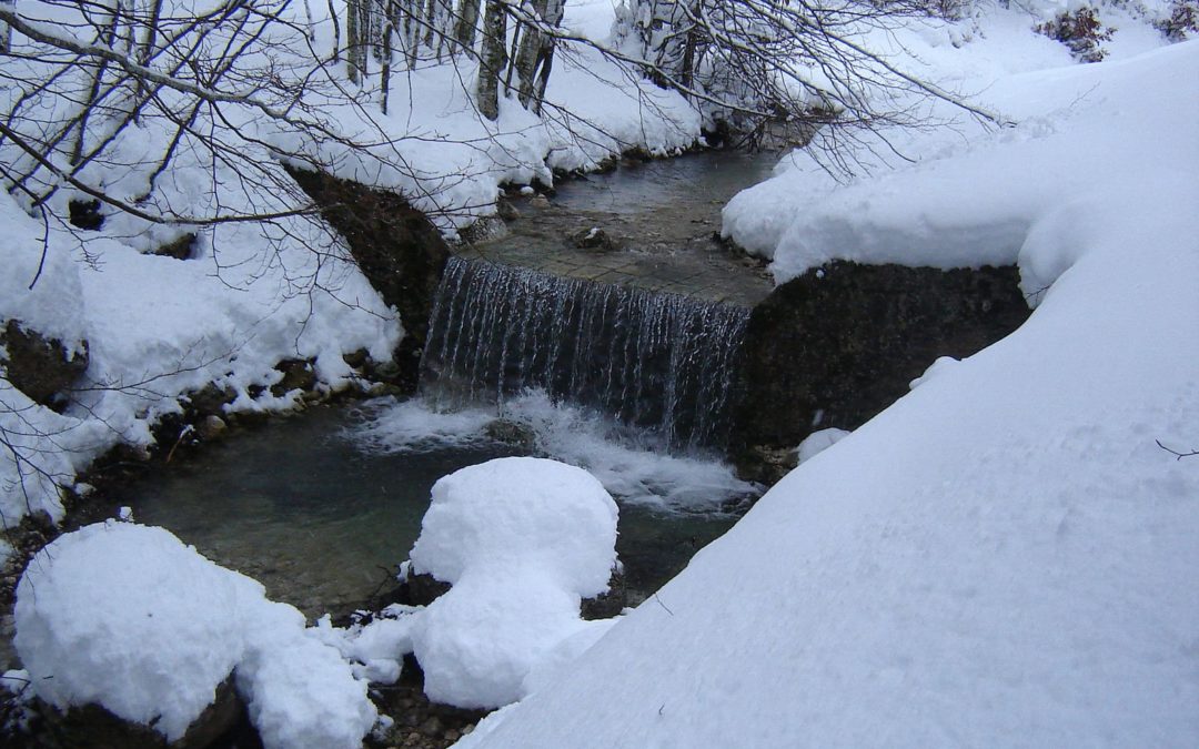 Previsione 22-02-2011 ore 22.45