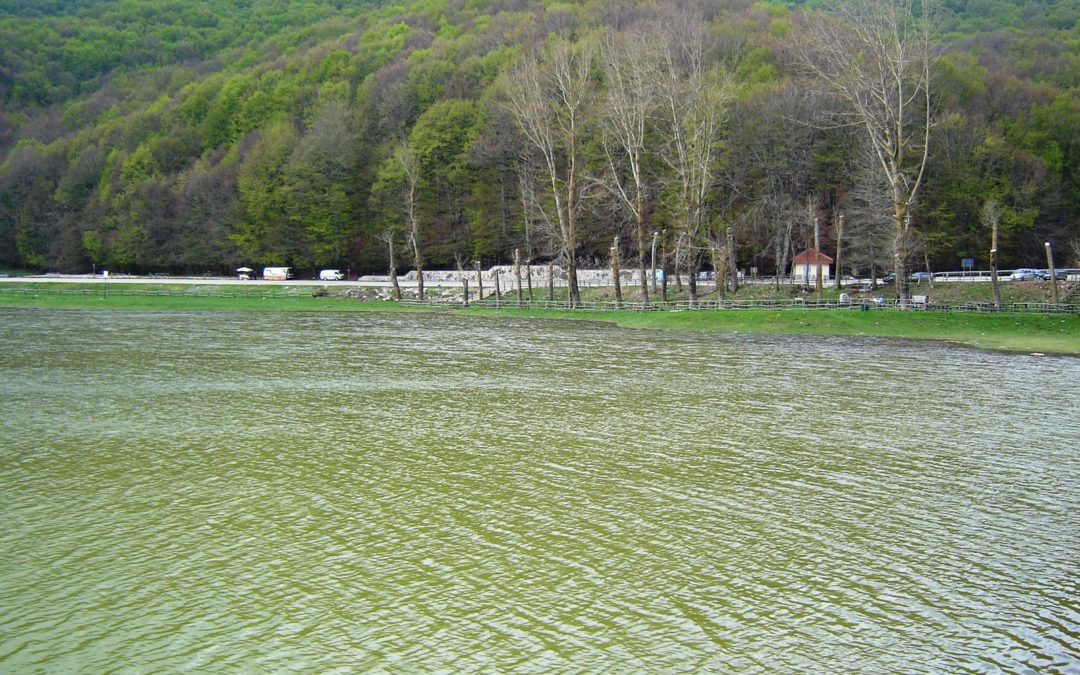 Previsione 14-02-2011