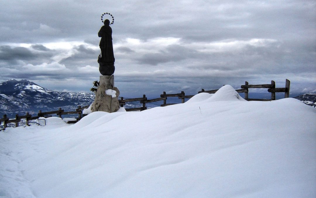 Previsione 22-02-2011 ore 17.00