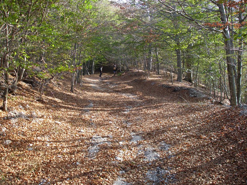 Colle del Leone – Cima del Cervialto