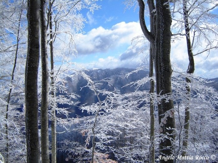 Previsione 20-02-2011