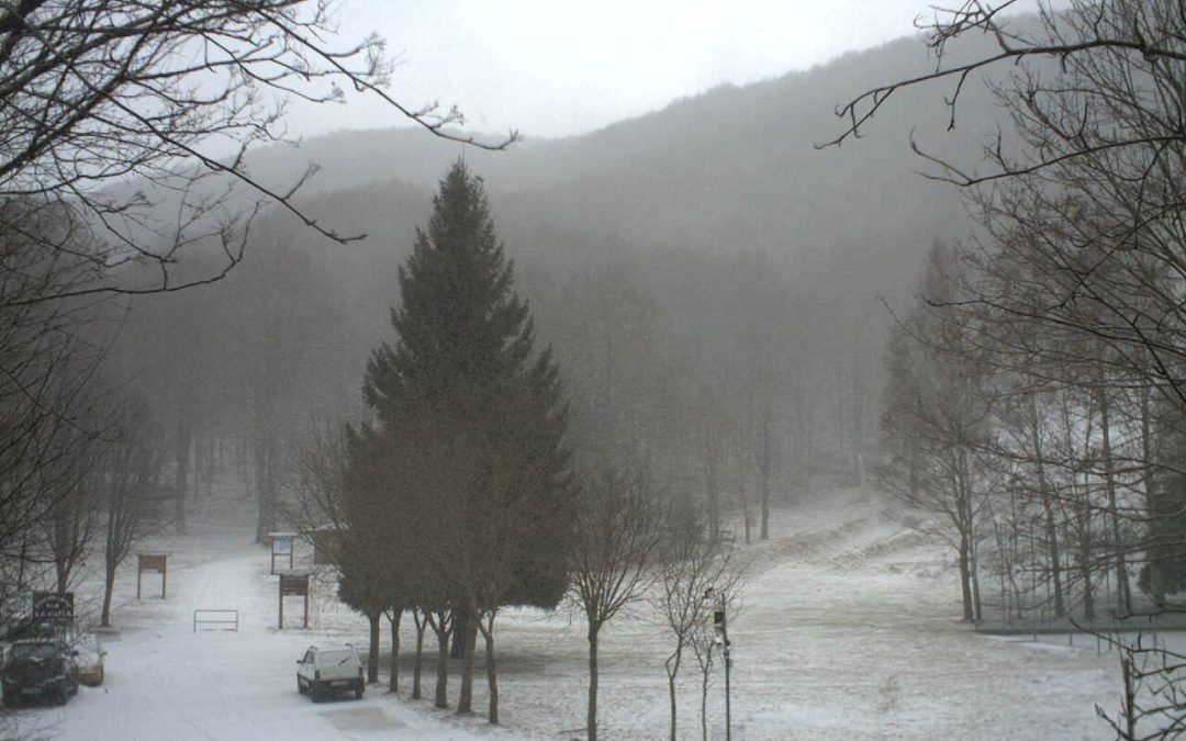 Previsione 23-02-2011 ore 17.15 aggiornamento