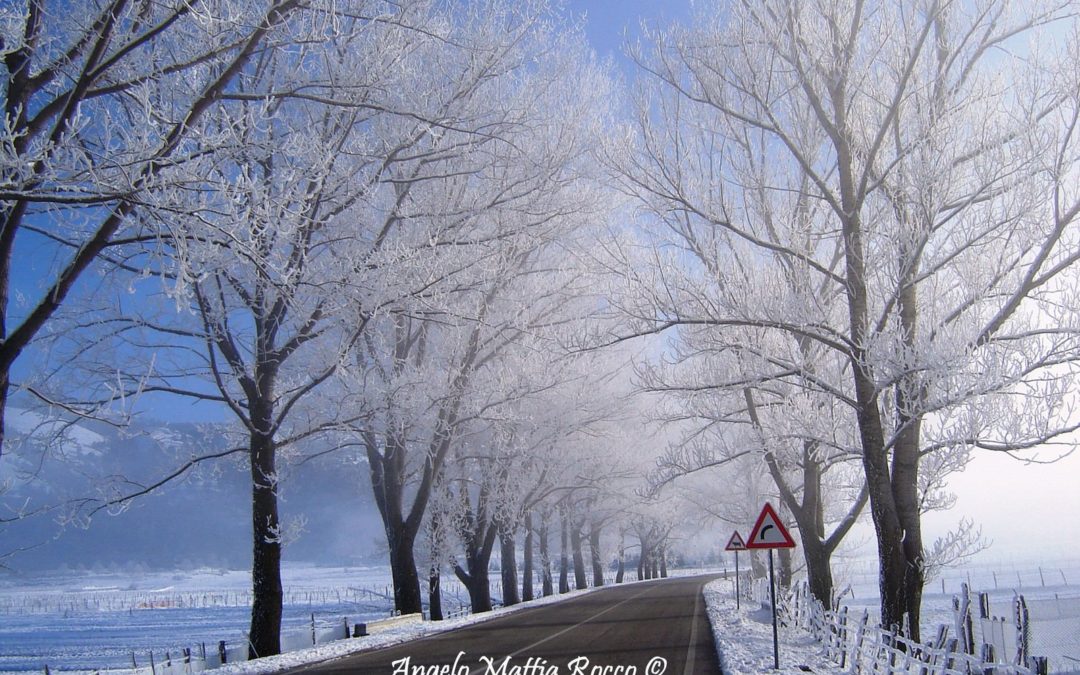 Previsione 24-02-2011