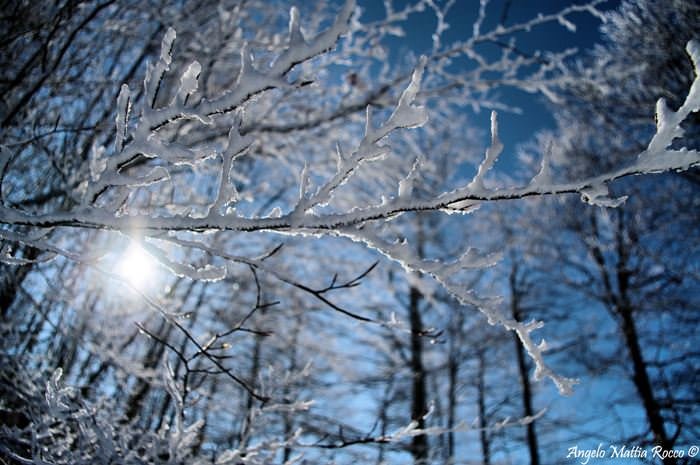 Vivi Acerno 2010 – Escursioni sulla neve Acerno – Laceno