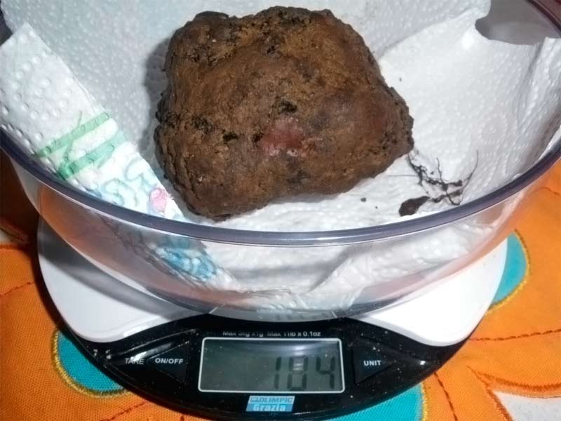 Tartufo Nero di Bagnoli Irpino 180 gr.