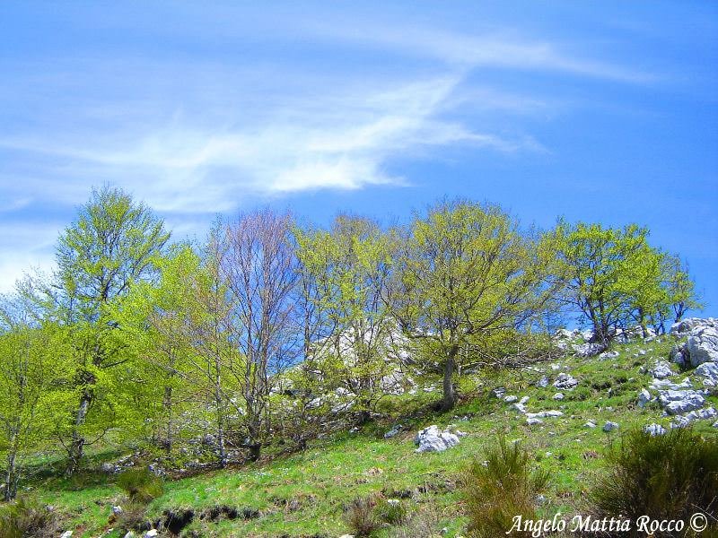 PREVISIONE 21-03-2011