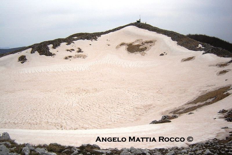 PREVISIONE 08-03-2011