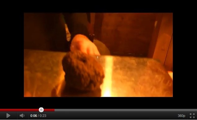 Servizio video (I parte)  – Sagra del tartufo nero di Bagnoli Irpino