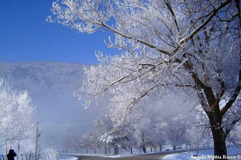 Inverno 2011-2012 alle porte per il Laceno?