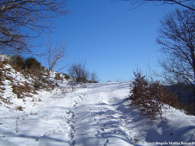 Previsione per il 29-30 Dicembre 2011