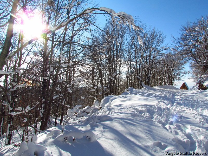 Servizio fotografico: cima Monte Raiamgra tra neve e sole 28-12-2011
