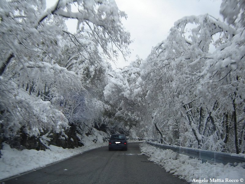 Laceno: disservizi e problemi per la prima neve, la denuncia del presidente del Consorzio Laceno