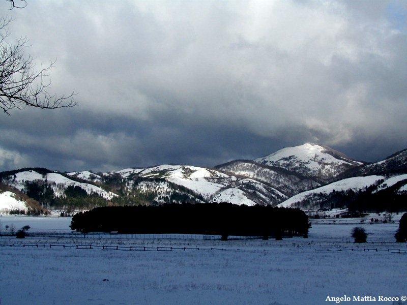Situazione neve a Laceno: servizio fotografico 23-12-2011