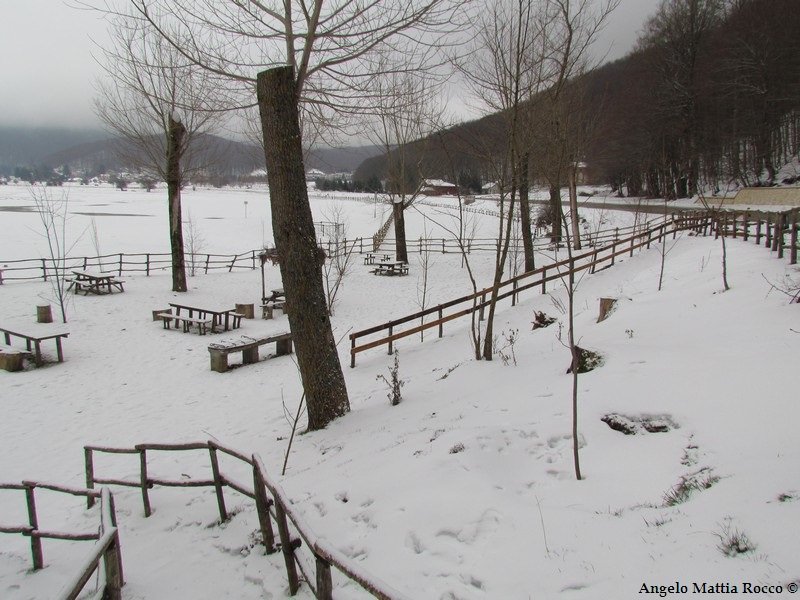 Servizio fotografico: nuova neve al piano Laceno 31-12-2011 (mattina)