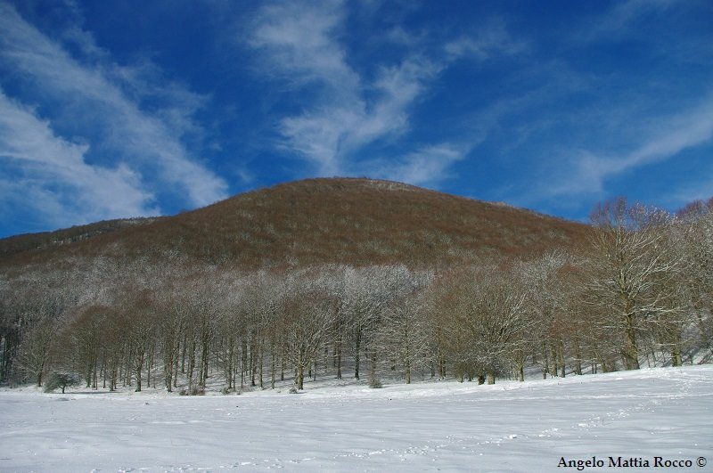 Previsione 19-12-2011