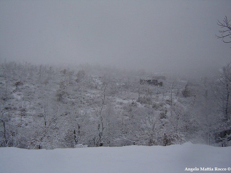 Previsione per il 24-25-26 Dicembre 2011