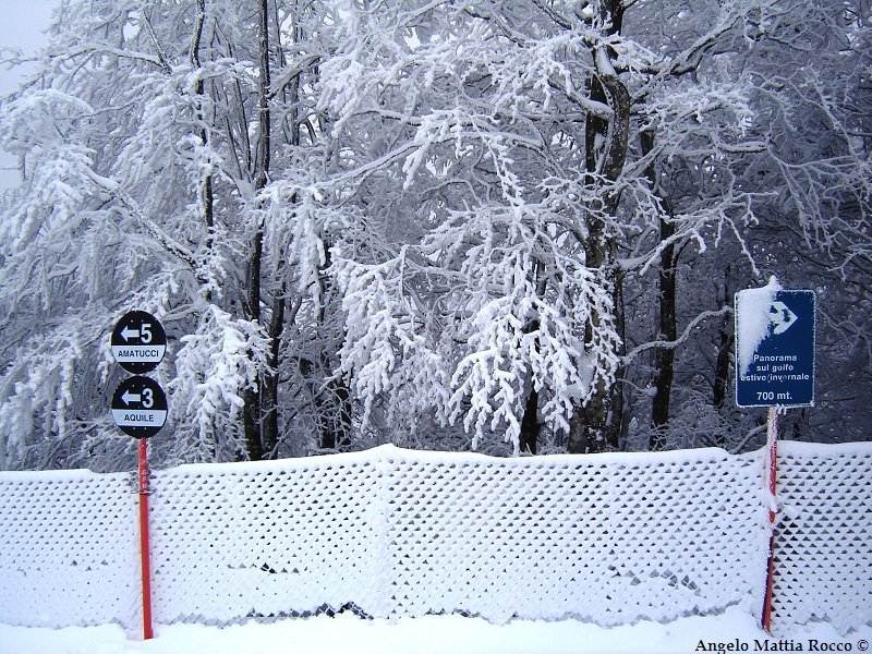 Piste da sci: accumulo salito a 50 cm, aperte altre piste