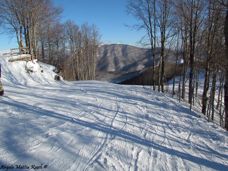 Bollettino neve: sciabilità da 1700 a 1100 (28-01-2012)