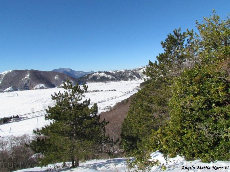 Servizio fotografico: situazione neve al Lago Laceno 12-01-2012