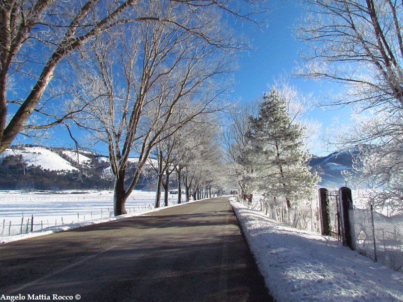 Previsione per il 9 Gennaio 2012