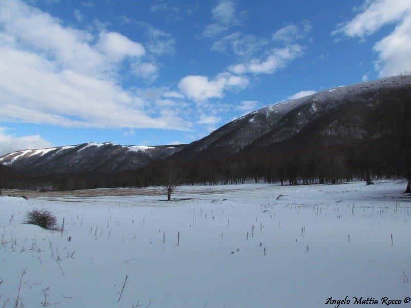 Servizo fotografico: situazione neve dal piano Laceno al piano l’Acernese (14-01-2012)