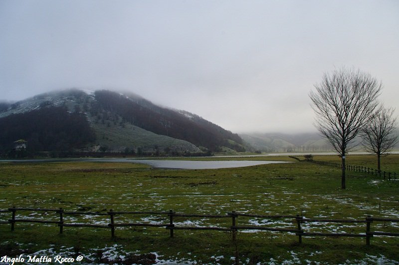 Previsioni per il 20-01-2012