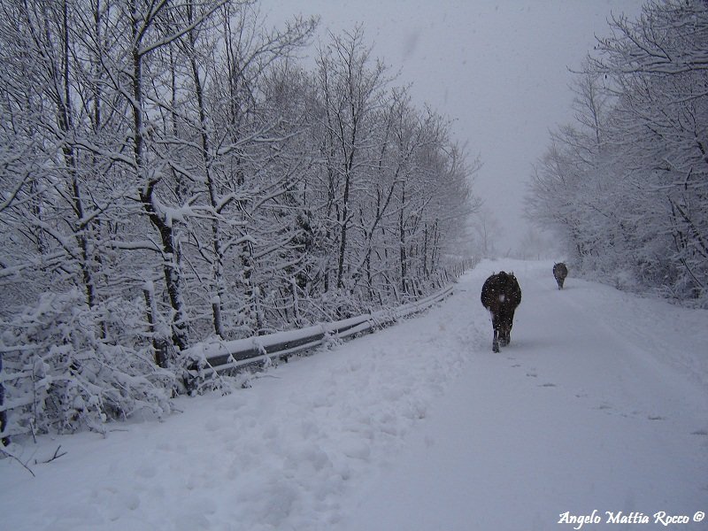 Previsione per il 24 Gennaio 2012