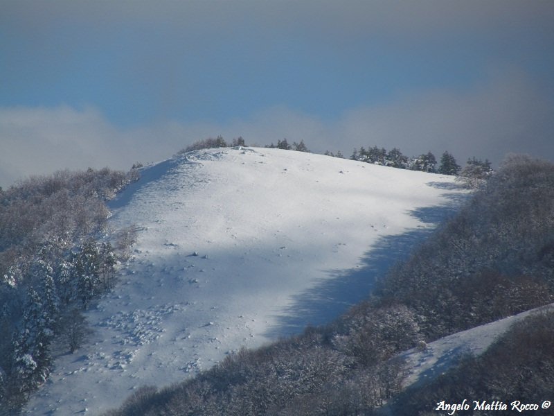 Previsione per il 28 Gennaio 2012