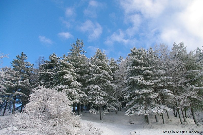 Previsione per il giorno 08-01-2012