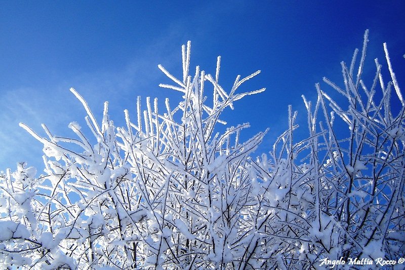 Previsione per il giorno 16