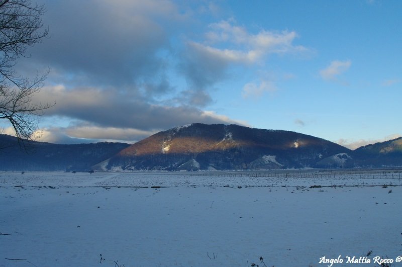 Previsione per il 18 Gennaio 2012