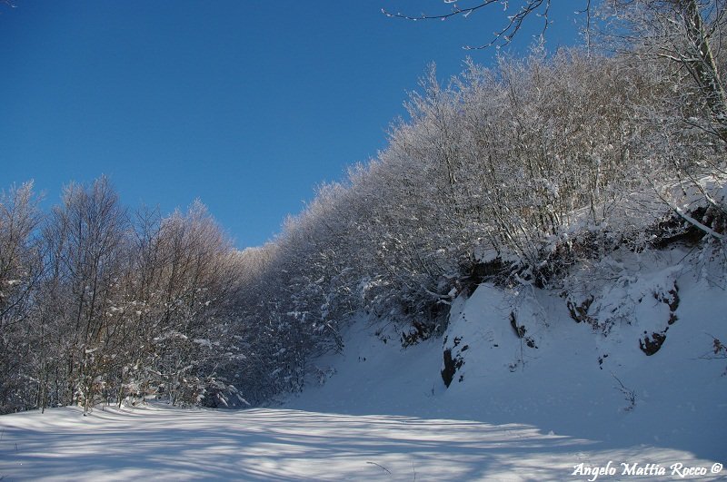 AVVISO METEO: da domani sera nevicate sul Laceno (23-01-2012)