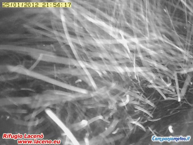 webcam laceno: nevicate intense dagli 800 m