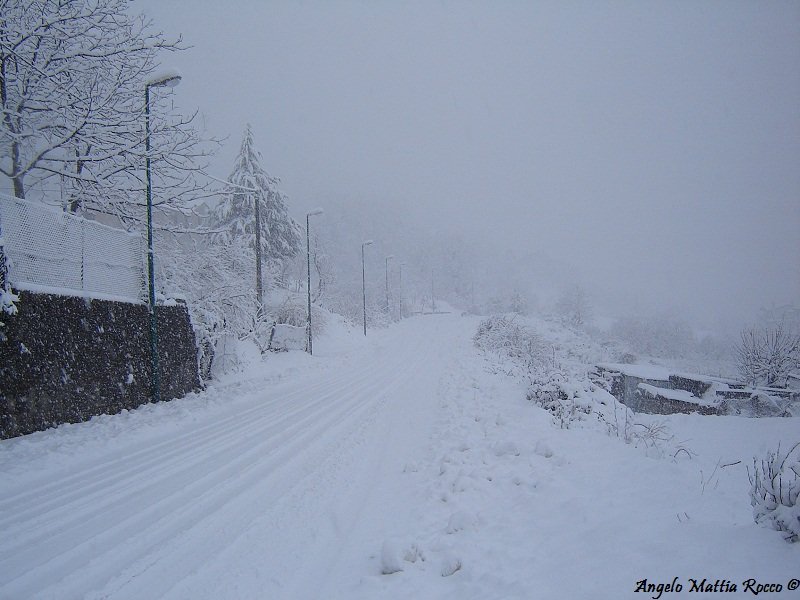 Previsione per il 1 Febbraio 2012