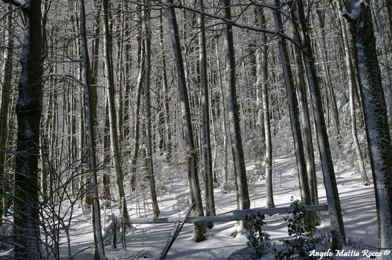 Previsione per il 10 Gennaio 2012