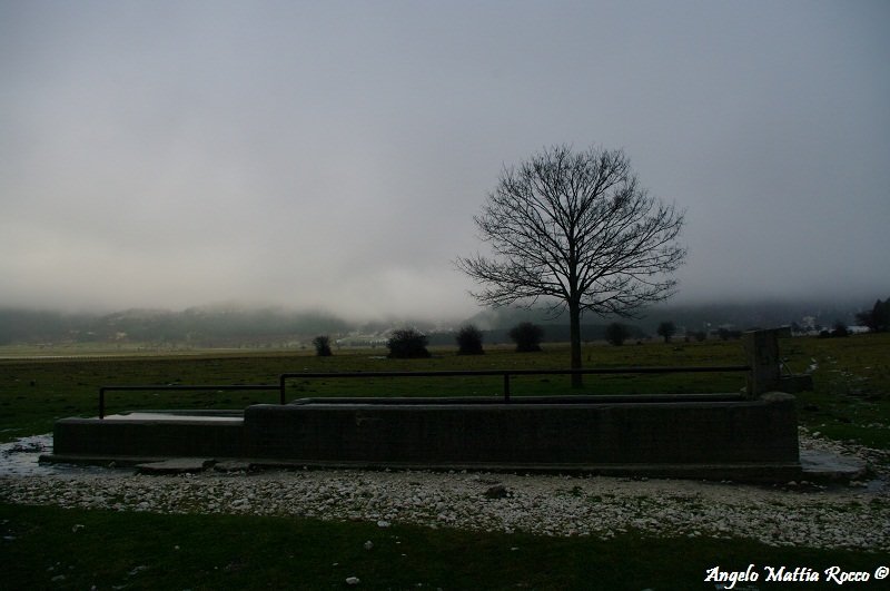 Previsione per il 23 Gennaio 2012