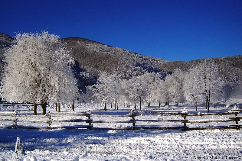 Previsione per il 6 Gennaio 2012