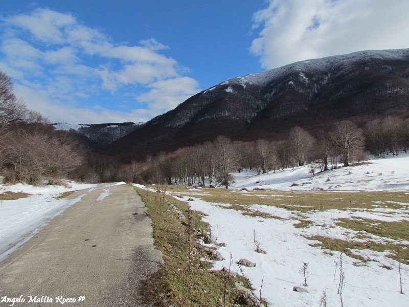 Previsione per il 19-01-2012