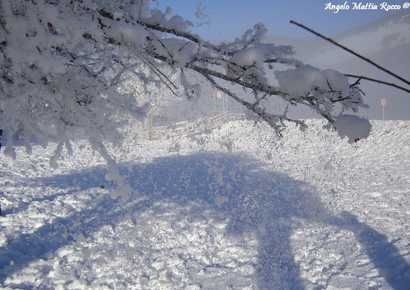 Previsioni per il 25 Gennaio 2012