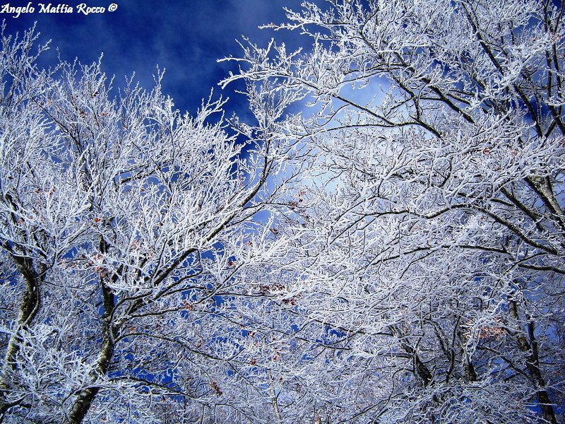 Previsione per il 26 Gennaio 2012