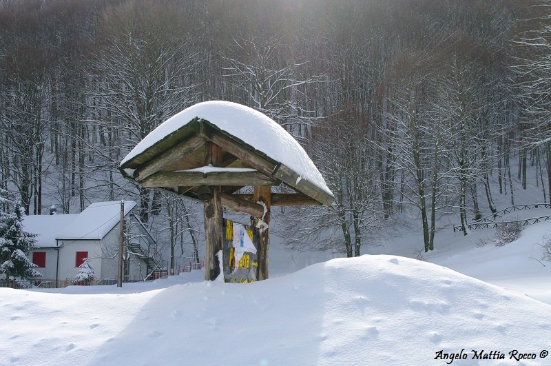 Bollettino neve: manca poco ai 200 cm in vetta (06-02-2012 ore 8.11)