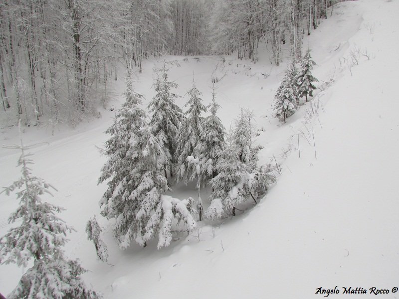 Bollettino neve: accumulo nevoso che mancava da anni