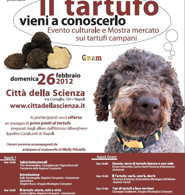 Il tartufo, vieni a conoscerlo: evento culturale e mostra mercato sui tartufi campani