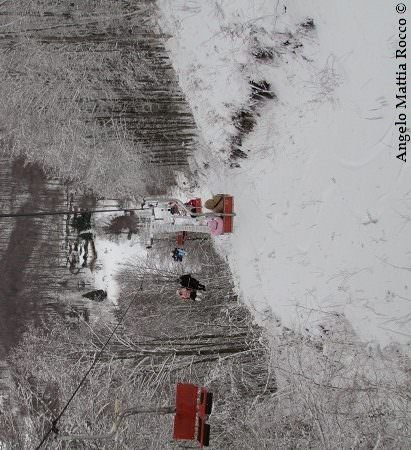 Bollettino neve: situazione piste e viabilità