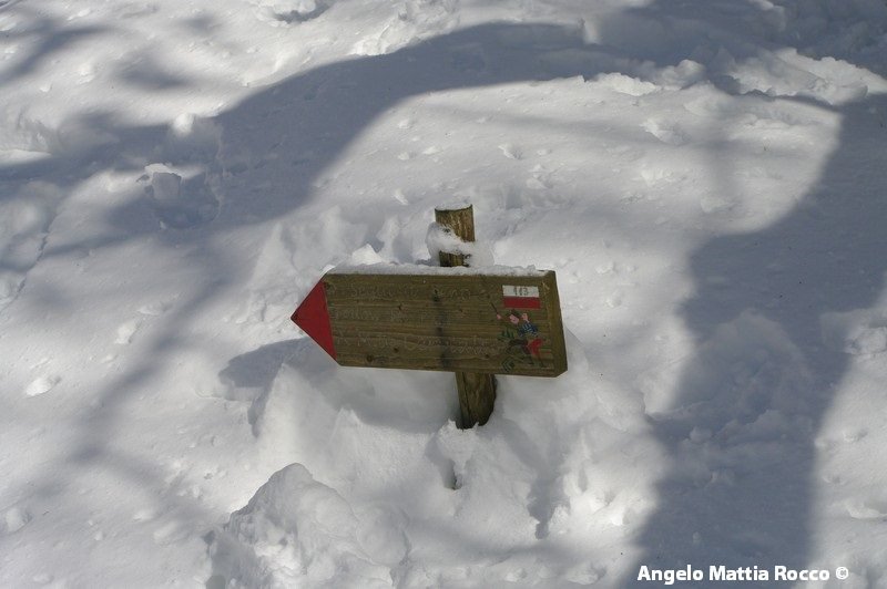Servizio fotografico: da Lago Laceno al Monte Cervialto (17-02-2012)