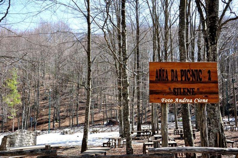 Servizio fotografico: situazione delle aree pic nic del Lago Laceno