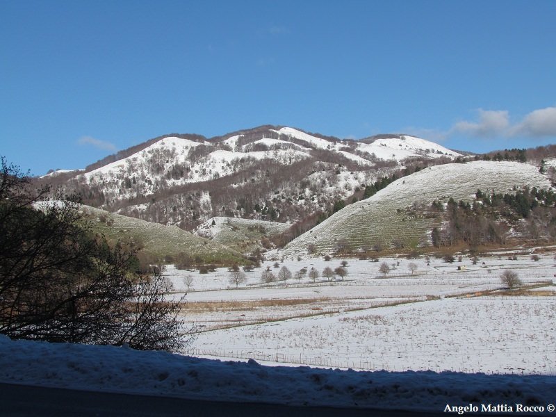 Previsione per il 15 Marzo 2012