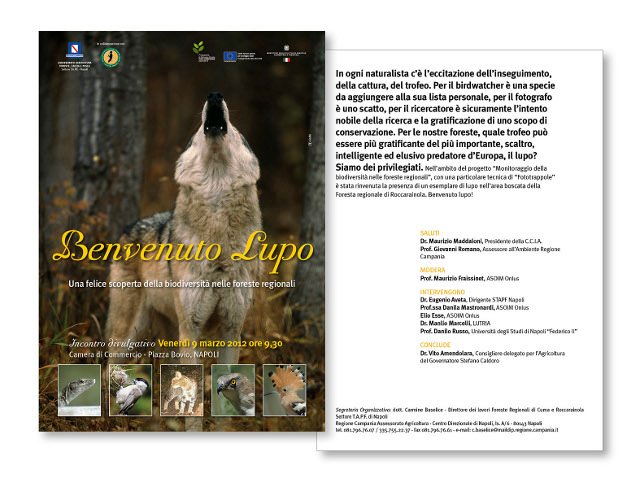 Benvenuto Lupo – una felice scoperta della biodiversità delle foreste regionali