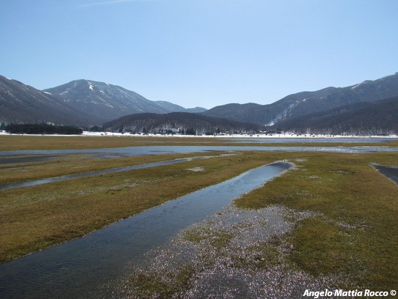Previsione per il 29 Marzo 2012