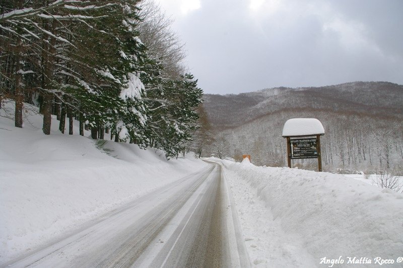 Previsione per il 10 Marzo 2012